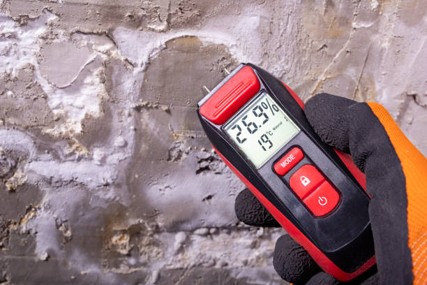 Professional Mold Remediation in Meade, KS
